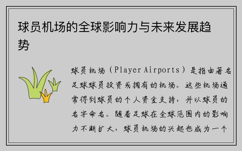 球员机场的全球影响力与未来发展趋势 