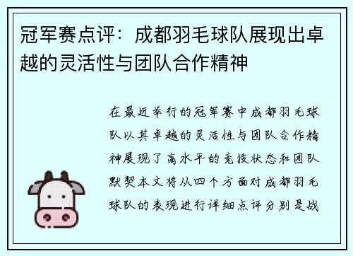 冠军赛点评：成都羽毛球队展现出卓越的灵活性与团队合作精神