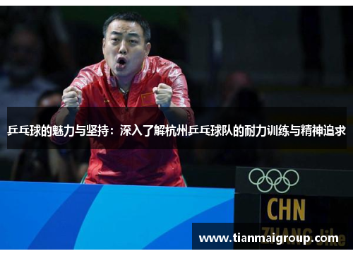 乒乓球的魅力与坚持：深入了解杭州乒乓球队的耐力训练与精神追求