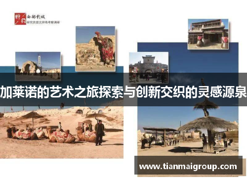 加莱诺的艺术之旅探索与创新交织的灵感源泉