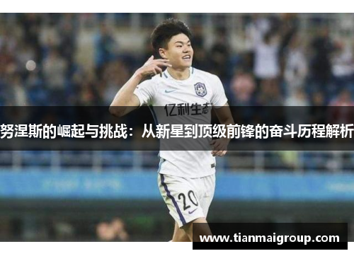努涅斯的崛起与挑战：从新星到顶级前锋的奋斗历程解析
